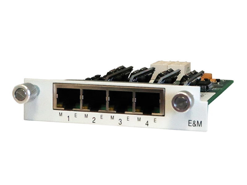 E&M Voice Card for AM3430